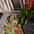 F5k7k4b9 thumb