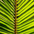 279arw48 thumb